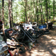 Illustration for article titled Massive Secret Mustang Junkyard Found In Rhode Island Forest
